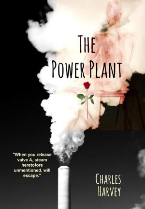 Cover of the book The Power Plant by Charles Harvey