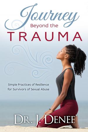 Book cover of Journey Beyond the Trauma