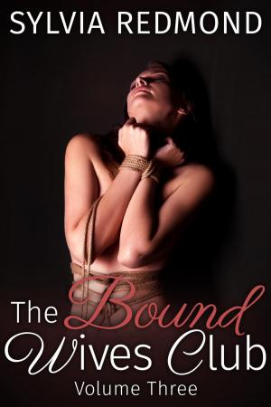 bigCover of the book The Bound Wives Club 3 by 