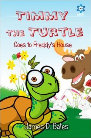 Book cover of Timmy the Turtle