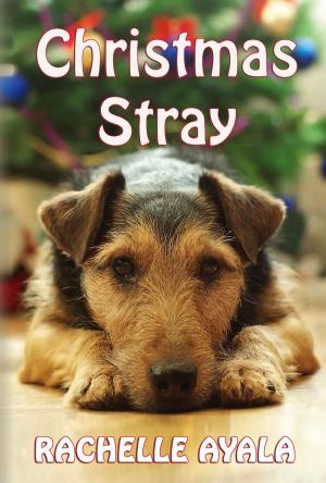 Book cover of Christmas Stray