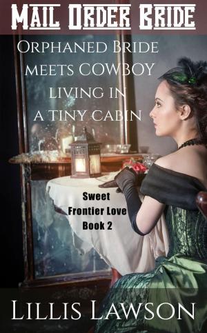 Cover of the book Orphaned Bride Meets Cowboy Living In A Tiny Cabin by Lillis Lawson