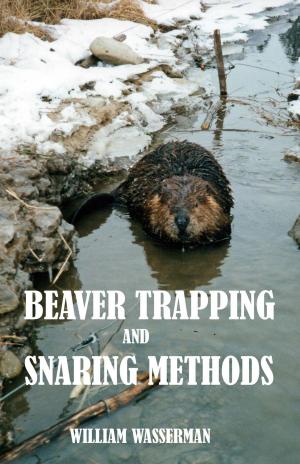 bigCover of the book Beaver Trapping and Snaring Methods by 