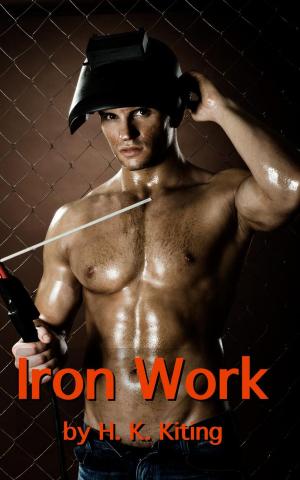 Cover of the book Iron Work by Tabetha Kate