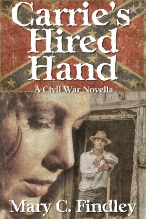 Book cover of Carrie's Hired Hand