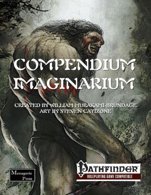 Cover of the book Compendium Imaginarium by Sam Hendricks