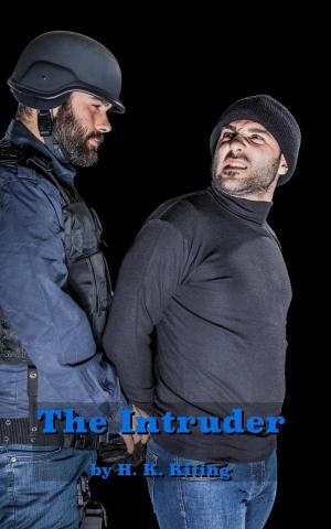 Cover of the book The Intruder by Phoenix Hell