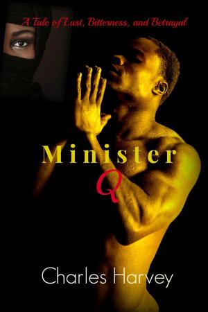 Book cover of Minister Q