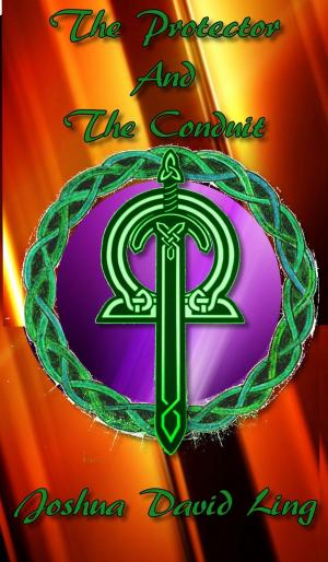Cover of The Protector And The Conduit