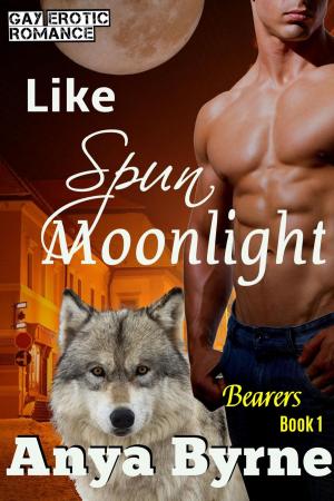 Cover of the book Like Spun Moonlight by CC Corrigan