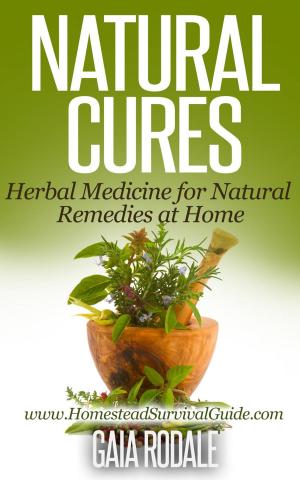 Cover of the book Natural Cures: Herbal Medicine for Natural Remedies at Home by Lucy Fast