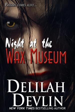 Cover of the book Night at the Wax Museum by Marguret F Boe
