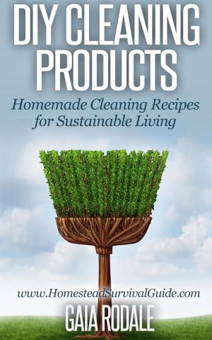 Cover of DIY Cleaning Products: Homemade Cleaning Recipes for Sustainable Living