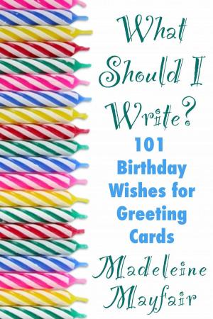 Cover of the book What Should I Write? 101 Birthday Wishes for Greeting Cards by Christine Schmidt