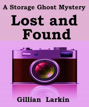 Cover of the book Lost And Found by Gillian Larkin