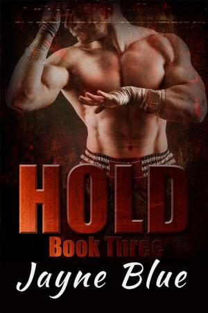 Book cover of Hold Book 3