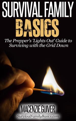 Cover of The Prepper's 'Lights Out' Guide to Surviving with the Grid Down