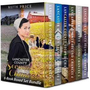 Cover of Lancaster County Second Chances 6-Book Boxed Set Bundle