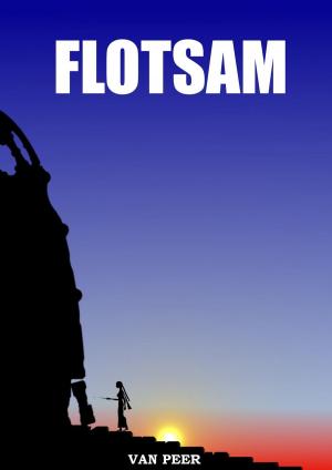 Cover of the book Flotsam by Claudette Melanson