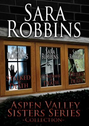Book cover of Aspen Valley Sisters Collection (Book 1-3)