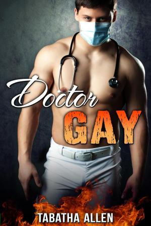Cover of the book Doctor Gay by Heidi Betts