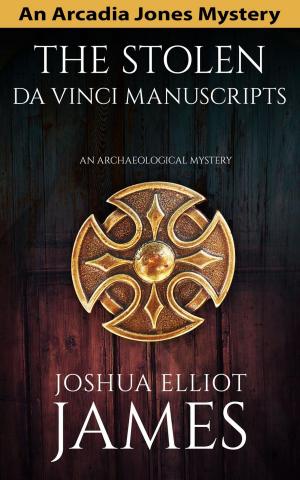 Cover of the book The Stolen Da Vinci Manuscripts: An Archaeological Mystery by Jinty James