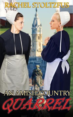 Cover of the book An Amish Country Quarrel by Montana West