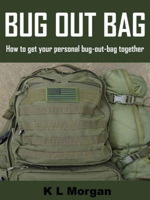 Cover of the book Bug Out Bag: How to get your personal bug-out-bag together by J. C. Williams Group
