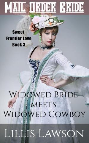Book cover of Widowed Bride Meets Widowed Cowboy