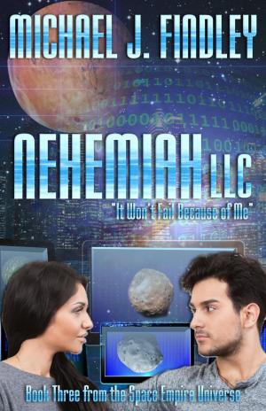 Cover of the book Nehemiah LLC by Mary C. Findley