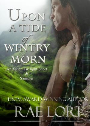 Cover of the book Upon A Tide of Wintry Morn by Maureen Mayer