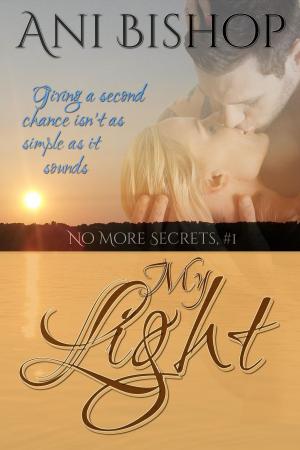 Cover of the book My Light by Heather Rae