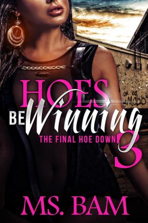 bigCover of the book Hoes Be Winning 3 - The Final Hoedown by 