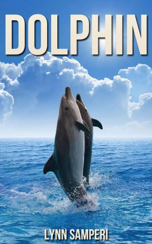 bigCover of the book Dolphin by 