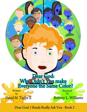 Cover of Dear God: Why Didn't You Make Everyone the Same Color? by David Taylor 2, HOUSE OF DT, INC.
