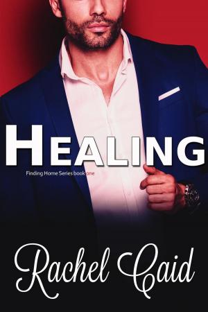 Cover of the book Healing by K. A. Krantz