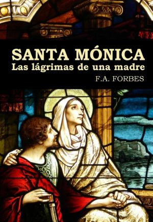 Book cover of Santa Mónica. Las lágrimas de una madre