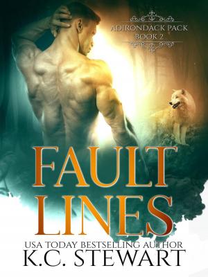Cover of the book Fault Lines by Arwen Jayne
