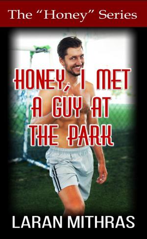 Cover of the book Honey, I Met a Guy at the Park by Tina Crow