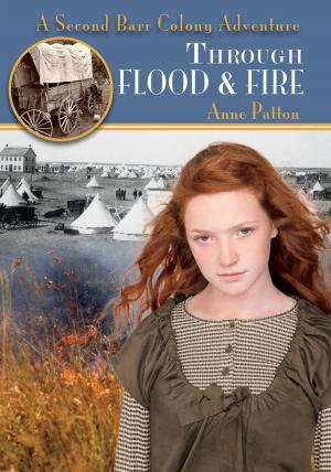 Cover of the book Through Flood & Fire by Morningstar Mercredi
