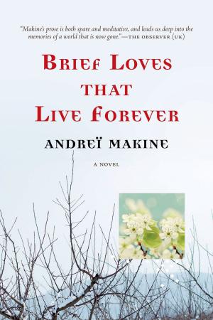 bigCover of the book Brief Loves That Live Forever by 