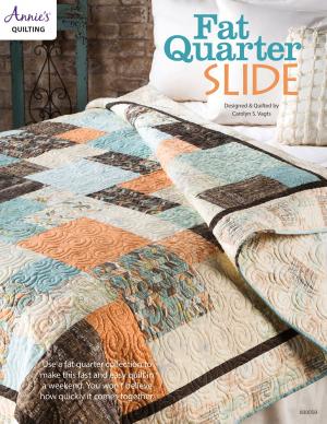 Cover of the book Fat Quarter Slide Quilt Pattern by Edie Eckman