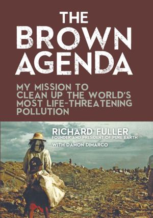 Cover of the book The Brown Agenda by Judy Gail Krasnow
