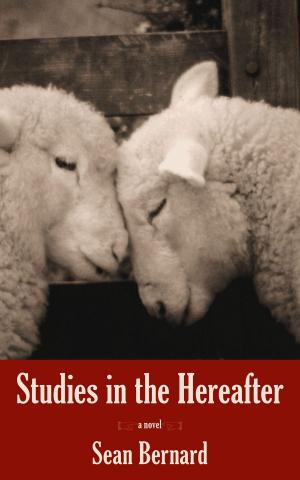 Cover of the book Studies in the Hereafter by Jonathan Harvey