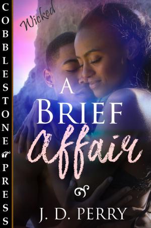 Cover of the book A Brief Affair by J.D. Perry