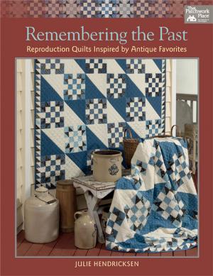 bigCover of the book Remembering the Past by 