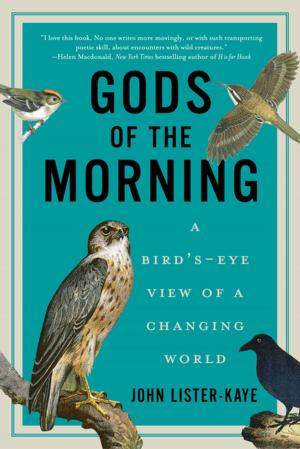 Cover of the book Gods of the Morning: A Bird's-Eye View of a Changing World by Joseph Harrington