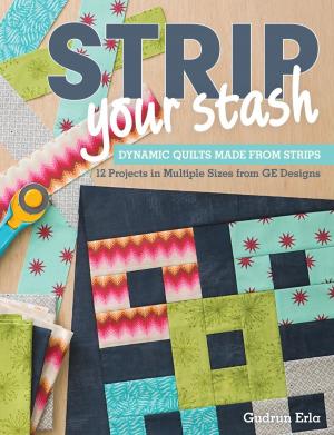 Cover of the book Strip Your Stash by Gina Perkes