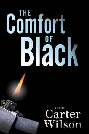 Book cover of The Comfort of Black
