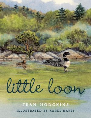Cover of the book Little Loon by Lynn Plourde